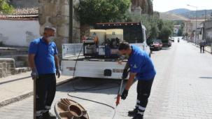 İzmir Efes Selçuk’ta kapsamlı ilaçlama seferberliği