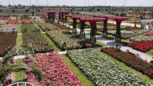 Konya'da Karatay Mevlana Gül Parkı kapılarını açtı