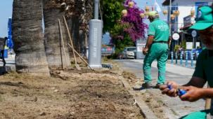 Milas Belediyesi, Güllük’te çalışmaları hızlandırıyor