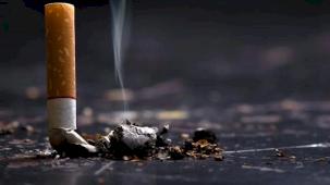 Yol kenarına atılan izmaritler yangına davetiye çıkarıyor