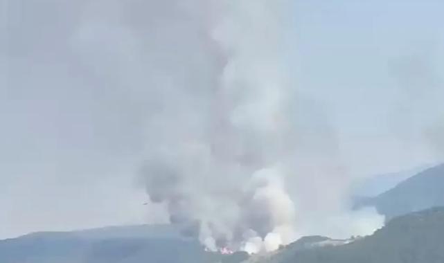 Balıkesir Sındırgı'da orman dışı alanda yangın!