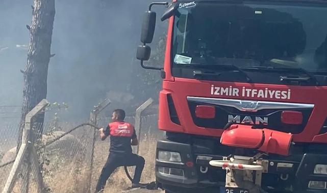 İzmir Bergama’da orman yangınına müdahale ediliyor