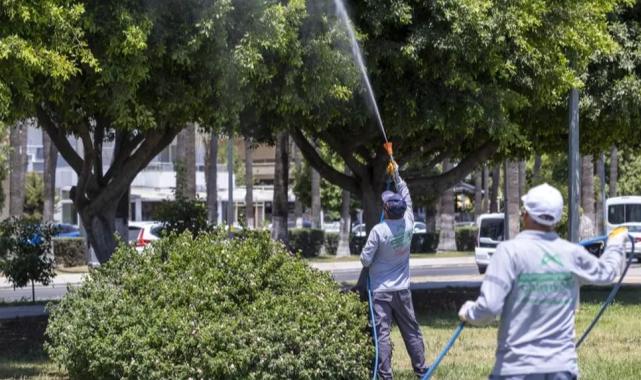 Mersin'de ilaçlama çalışmaları sürüyor