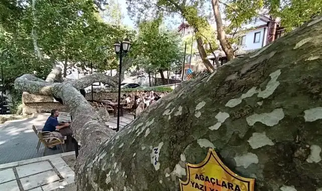 Osmanlı'dan günümüze... Bursa İnkaya'da görkemli gölge