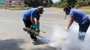 Antalya’nın tüm ilçelerinde haşereyle mücadele sürüyor