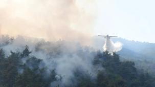 Bursa Kestel'de 2 günde kontrol altına alınan yangının soğutması 5 gün daha sürecek