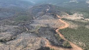 Bursa’da yanan ormanlar yeniden yeşerecek... 11 Kasım’da fidan dikimine davet