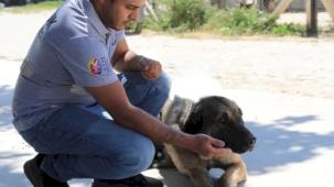 İzmir Efes Selçuk’ta 'satın alma sahiplen' çağrısı