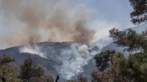 Kocaeli Aydınlar Ocağı'ndan yangınlarla mücadeleye 9 maddelik öneri