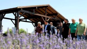 Konya Karatay Lavanta Bahçeleri'nde görsel şölen heyecanı