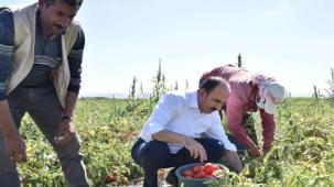 Konya’da 2026 için fidan ve fide desteği başvuruları başladı