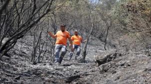 Sakarya Büyükşehir can dostlar için sahaya indi