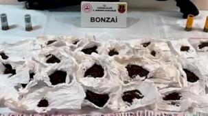 Tekirdağ'da 'Narkokapan'! 65 torbacı yakalandı