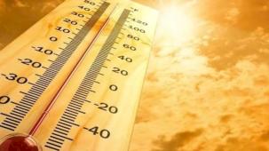 Zorunlu olmadıkça dışarı çıkmayın! Sakaryalılara ‘kavurucu sıcak’ uyarısı