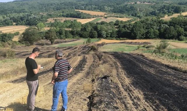 Yangında zarar gören çiftçilere Kocaeli'de tohum desteği
