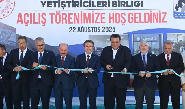 Çorum'da hayvancılığa güçlü destek