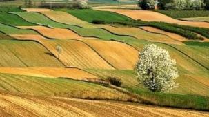 İki yıl ekilmeyen araziler devlet eliyle kiralanacak