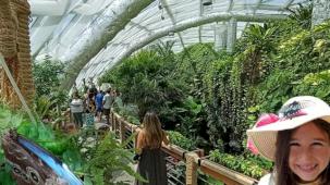 Konya'nın tropikal bahçesi ziyaretçileri büyülüyor