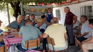 Muğla Büyükşehir’den zeytin üreticisine eğitim desteği