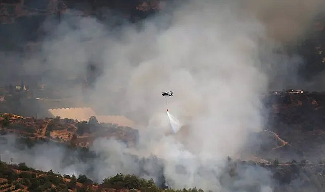 Antalya ve Muğla'da orman yangınları
