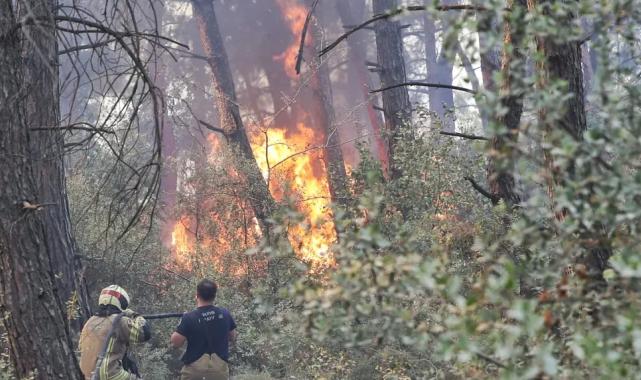 Bursa Büyükşehir'den Gündoğdu yangını seferberliği
