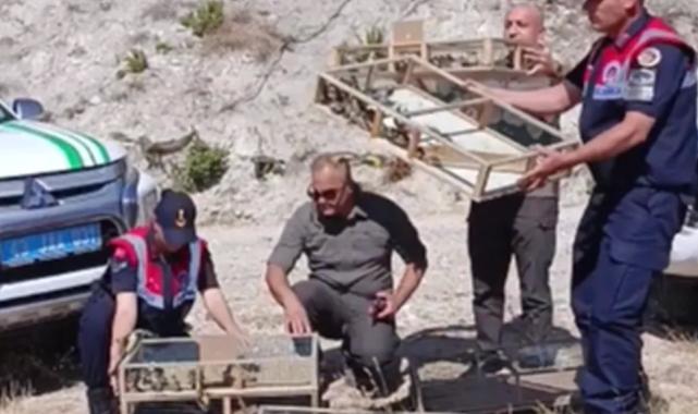 Gediz'de yasak ava 1 milyon ceza!