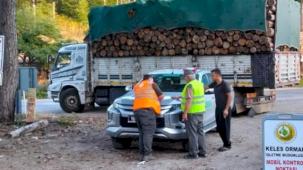 Bursa’da eş zamanlı orman emvali kontrolü