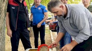 Bursa'nın su kaynaklarına 2,2 milyon sazan balığı bırakılacak