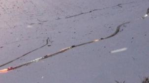 Rize'de Ayder Yaylası ulaşım çalışmaları 'çığ'a takıldı!