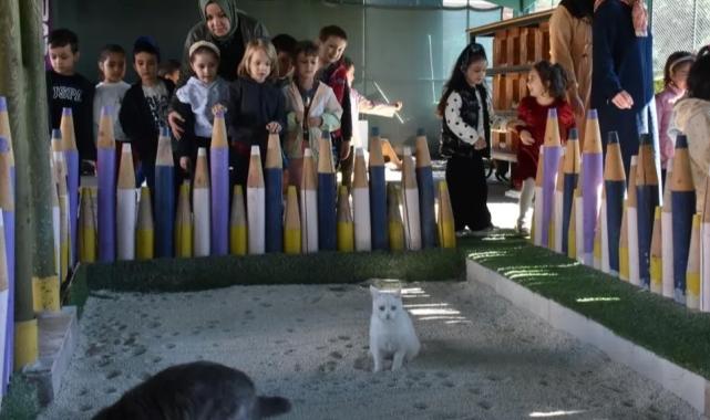 Kayseri Kocasinan'da can dostlar için özel kasaba