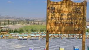 ABB'den arıcılık için dev proje