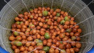 Antalya Büyükşehir’den ceviz üreticisine makine desteği