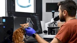 Balıkesir Büyükşehir’den can dostlara tam destek