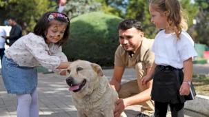 Bursa'da can dostlar Osmangazi korumasında