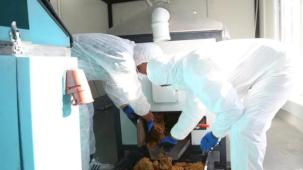 Kayseri Melikgazi yemek atıklarını can dostlarına mama yapıyor