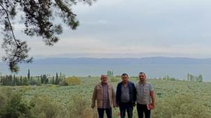 Marmarabirlik’ten 'anıt zeytin ağaçları'na özel marka vizyonu