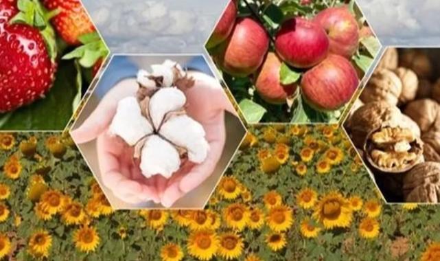 Tarımda zor yıl beklentisi!