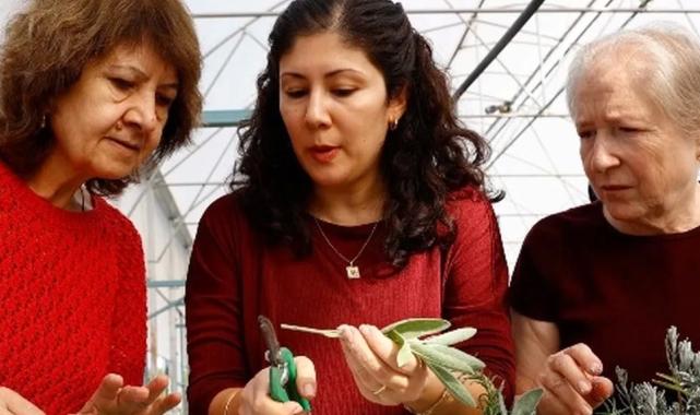 Antalya’da 'Tıbbi ve Aromatik Bitki Yetiştiriciliği' kursu ilgi görüyor
