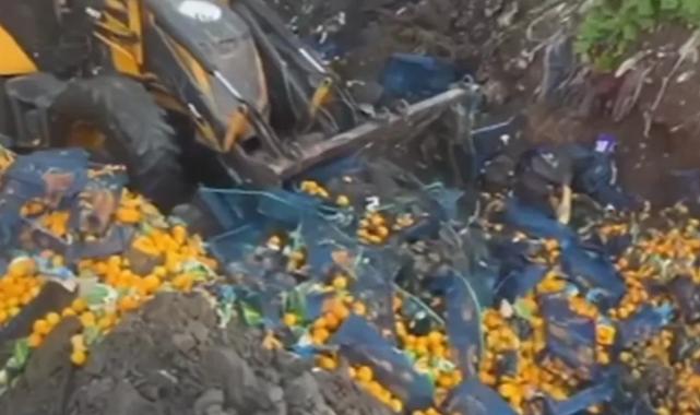 Artvin Sarp Sınır Kapısı'nda 6,1 ton mandalina imha edildi!