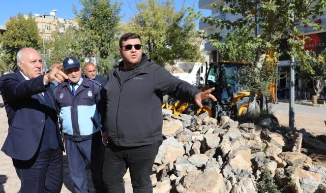 Mardin Yeşilli’de büyük dönüşüm... 50 bin ağaçlık yeşil hamle