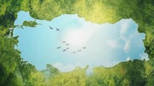 Burhanettin Duran'dan Çanakkale’de hatıra ormanı paylaşımı