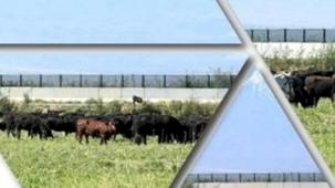 TİGEM’den 'Kırsalda Bereket Hayvancılığa Destek Projesi' için yeni duyuru