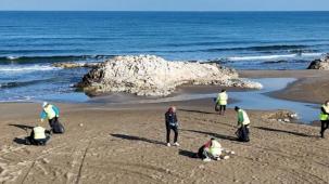 Kocaeli'de yılın üçüncü dönem deniz çöpü izleme faaliyeti
