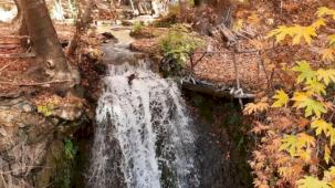 Mardin’in gizli cenneti renk cümbüşüne döndü
