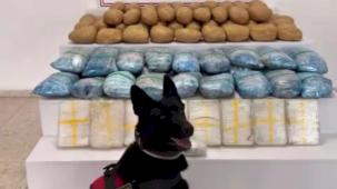 63 ilde 1 tonu aşkın uyuşturucu ele geçirildi