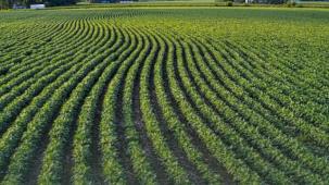 TAKE ile tarım arazileri daha verimli kullanılıyor