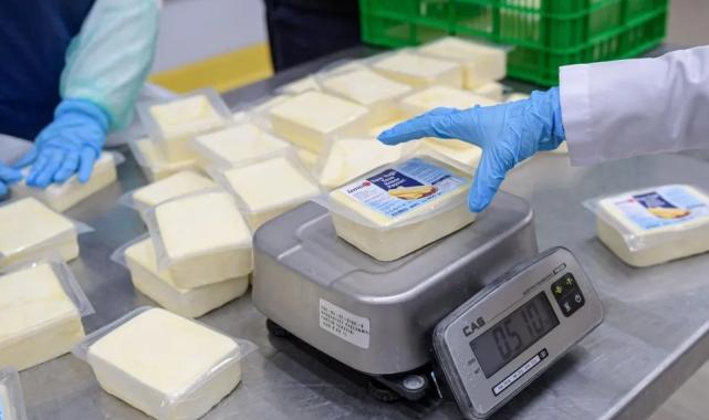 İzmir Büyükşehir’den peynir hamlesi... 500 gramlık kaşar 165 TL