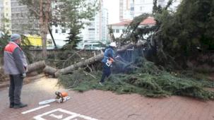 Kayseri Melikgazi'de rüzgar kabusu