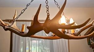 Tekirdağ kaçak tahnit ve trofe operasyonu... 40 parça ele geçirildi