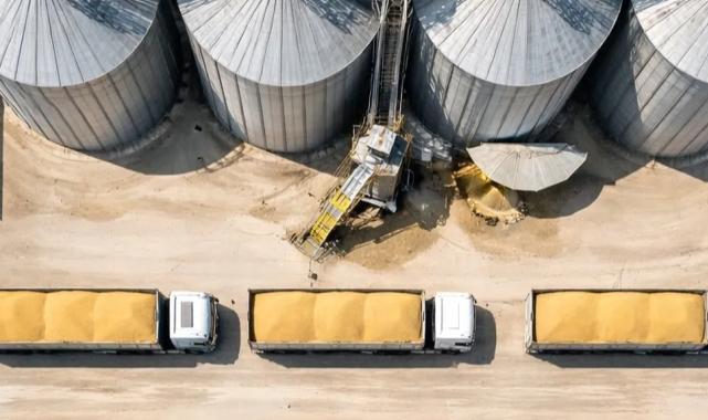 TMO’dan buğday satışı... 1,2 milyon ton stok günlük açık artırmada